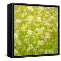 Daisy Meadow-Doug Chinnery-Framed Stretched Canvas