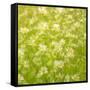 Daisy Meadow-Doug Chinnery-Framed Stretched Canvas