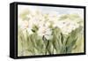 Daisy Meadow-Katrina Pete-Framed Stretched Canvas