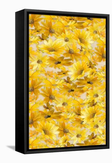 Daisy Pattern-Lanie Loreth-Framed Stretched Canvas