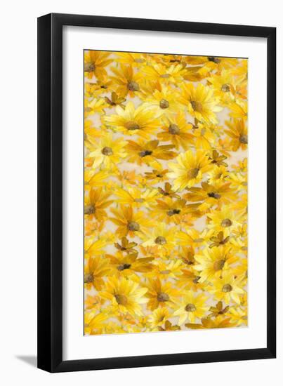 Daisy Pattern-Lanie Loreth-Framed Art Print