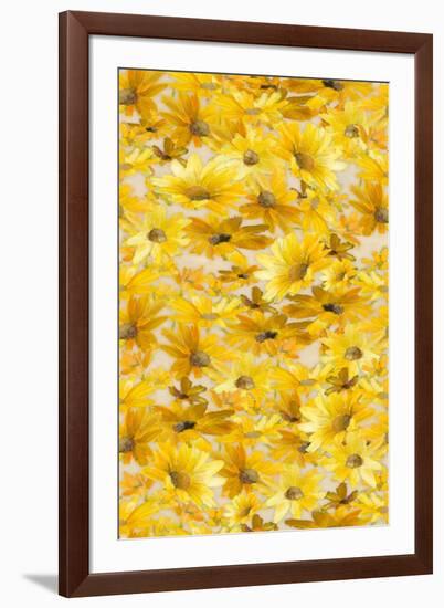 Daisy Pattern-Lanie Loreth-Framed Art Print