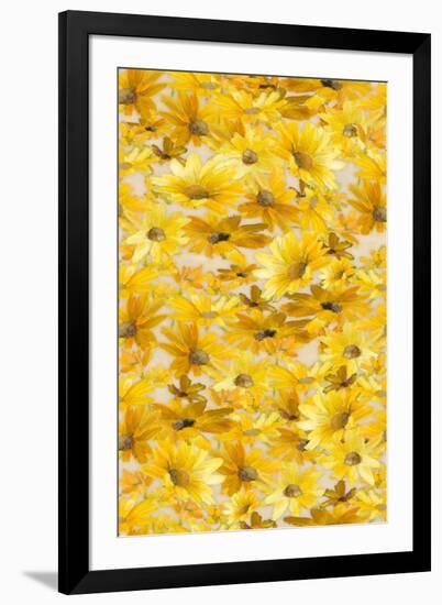 Daisy Pattern-Lanie Loreth-Framed Art Print