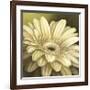 Daisy Portrait-Lisa Audit-Framed Giclee Print