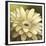 Daisy Portrait-Lisa Audit-Framed Giclee Print