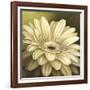 Daisy Portrait-Lisa Audit-Framed Art Print