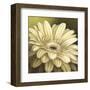 Daisy Portrait-Lisa Audit-Framed Art Print