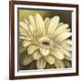 Daisy Portrait-Lisa Audit-Framed Art Print