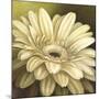 Daisy Portrait-Lisa Audit-Mounted Art Print