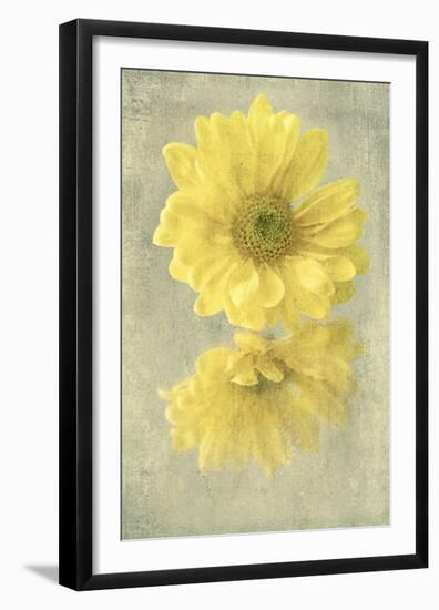 Daisy Reflection II-Judy Stalus-Framed Art Print