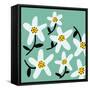 Daisy Rounds I-Rebekah Ewer-Framed Stretched Canvas