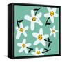 Daisy Rounds II-Rebekah Ewer-Framed Stretched Canvas