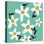 Daisy Rounds II-Rebekah Ewer-Stretched Canvas