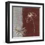 Daisy Sketch II-Tandi Venter-Framed Giclee Print