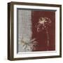 Daisy Sketch II-Tandi Venter-Framed Giclee Print