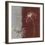 Daisy Sketch II-Tandi Venter-Framed Giclee Print
