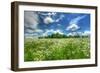 Daisy Sky-Robert Goldwitz-Framed Photographic Print