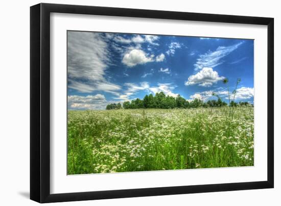 Daisy Sky-Robert Goldwitz-Framed Photographic Print