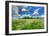 Daisy Sky-Robert Goldwitz-Framed Photographic Print