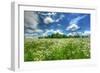 Daisy Sky-Robert Goldwitz-Framed Photographic Print