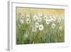 Daisy Spring I-Tim O'toole-Framed Art Print