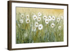 Daisy Spring I-Tim O'toole-Framed Art Print