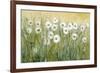 Daisy Spring I-Tim O'toole-Framed Art Print