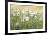 Daisy Spring I-Tim O'toole-Framed Art Print