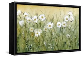 Daisy Spring II-Tim O'toole-Framed Stretched Canvas