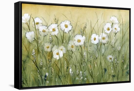 Daisy Spring II-Tim O'toole-Framed Stretched Canvas