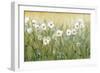 Daisy Spring II-Tim O'toole-Framed Premium Giclee Print