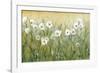 Daisy Spring II-Tim O'toole-Framed Premium Giclee Print