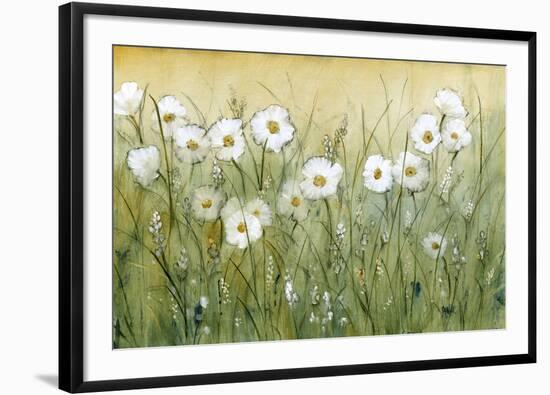 Daisy Spring II-Tim O'toole-Framed Premium Giclee Print