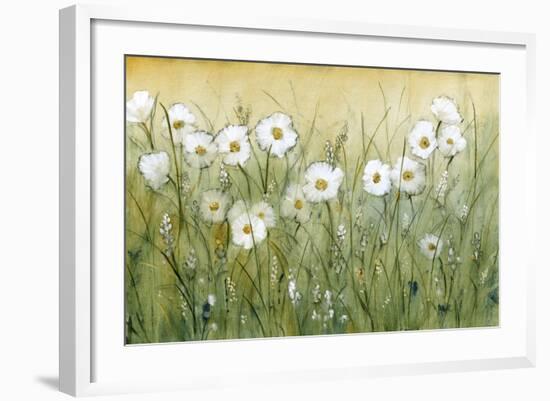 Daisy Spring II-Tim O'toole-Framed Art Print