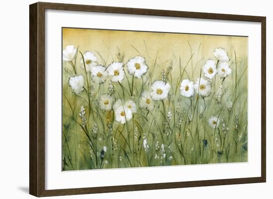 Daisy Spring II-Tim O'toole-Framed Art Print
