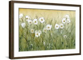 Daisy Spring II-Tim O'toole-Framed Art Print