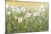 Daisy Spring II-Tim O'toole-Mounted Art Print