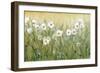 Daisy Spring II-Tim O'toole-Framed Art Print