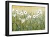 Daisy Spring II-Tim O'toole-Framed Art Print