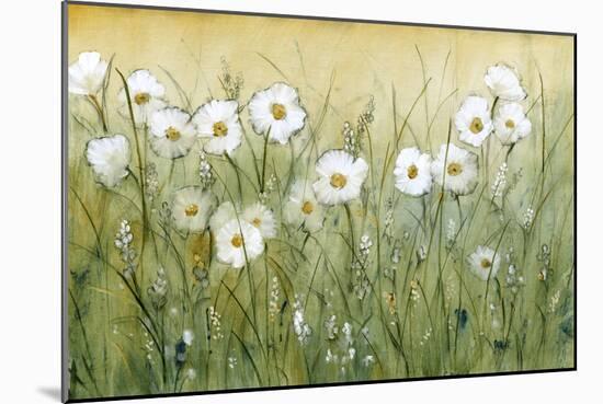 Daisy Spring II-Tim O'toole-Mounted Art Print