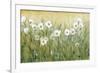 Daisy Spring II-Tim O'toole-Framed Art Print