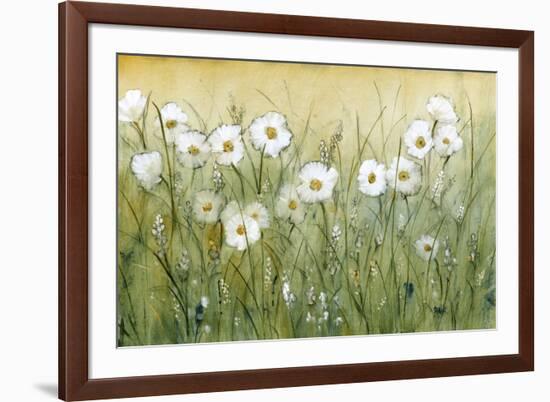 Daisy Spring II-Tim O'toole-Framed Art Print