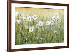 Daisy Spring II-Tim O'toole-Framed Art Print