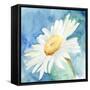 Daisy Sunshine I-Regina Moore-Framed Stretched Canvas