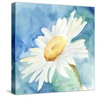 Daisy Sunshine I-Regina Moore-Stretched Canvas