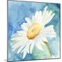 Daisy Sunshine I-Regina Moore-Mounted Art Print