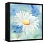 Daisy Sunshine II-Regina Moore-Framed Stretched Canvas