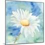 Daisy Sunshine II-Regina Moore-Mounted Art Print