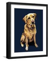 Daisy the Labrador on Midnight Blue, 2020, (Pen and Ink)-Mike Davis-Framed Giclee Print