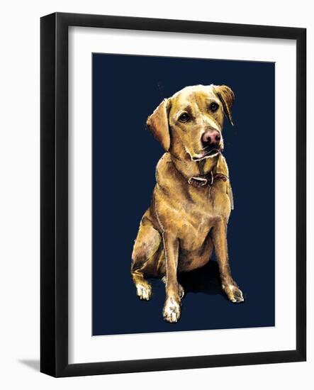 Daisy the Labrador on Midnight Blue, 2020, (Pen and Ink)-Mike Davis-Framed Giclee Print